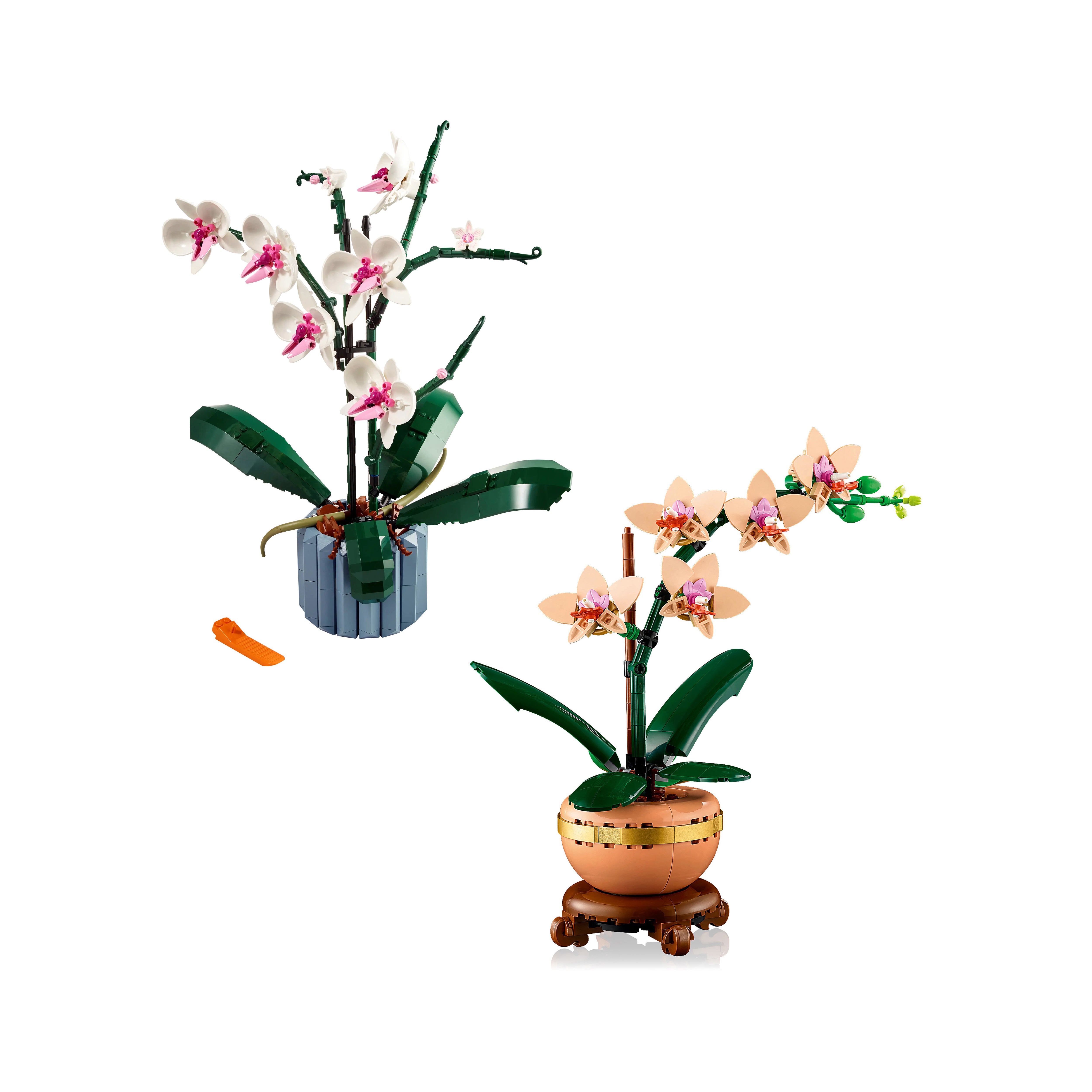 Botanicals Bundle 6