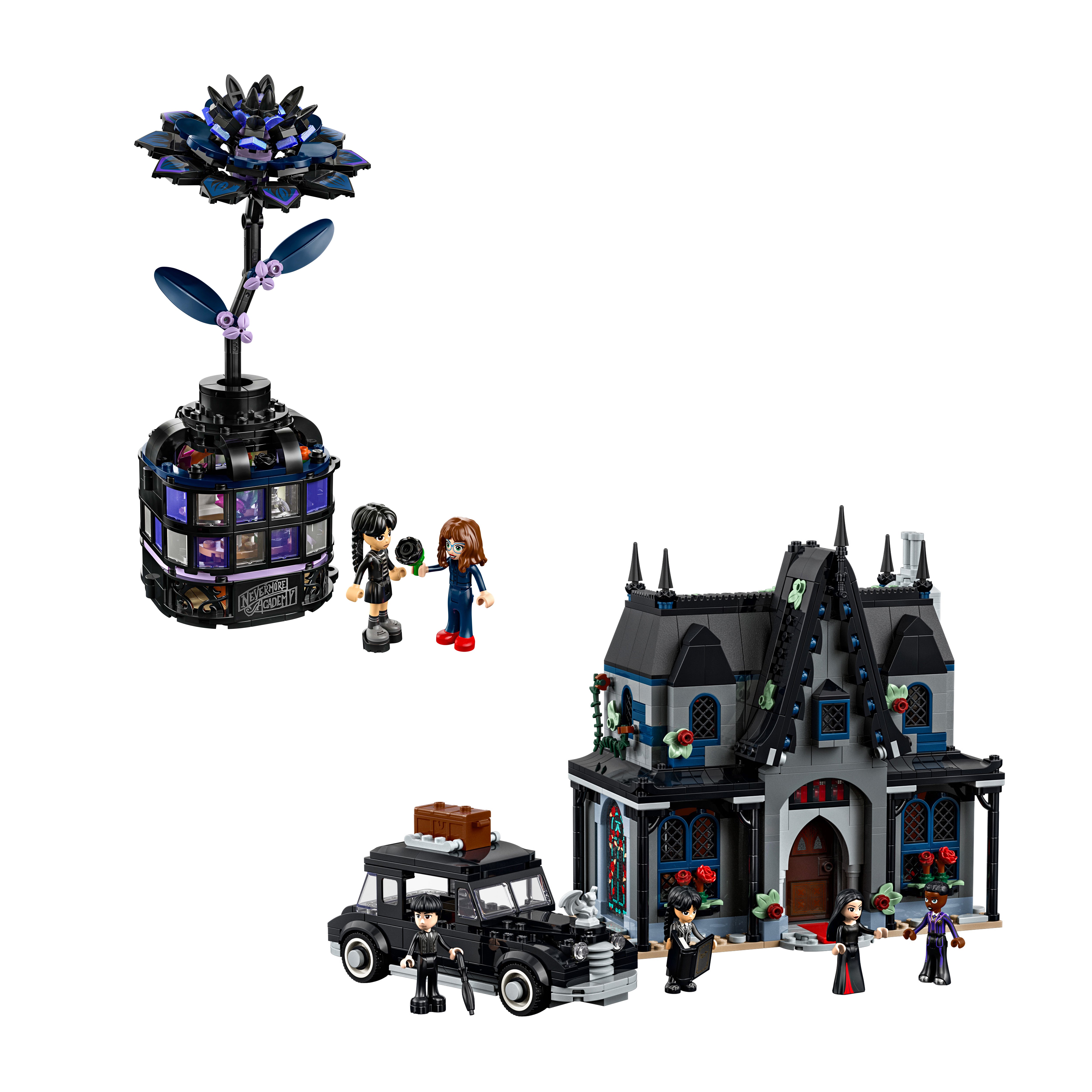 Wednesday Bundle