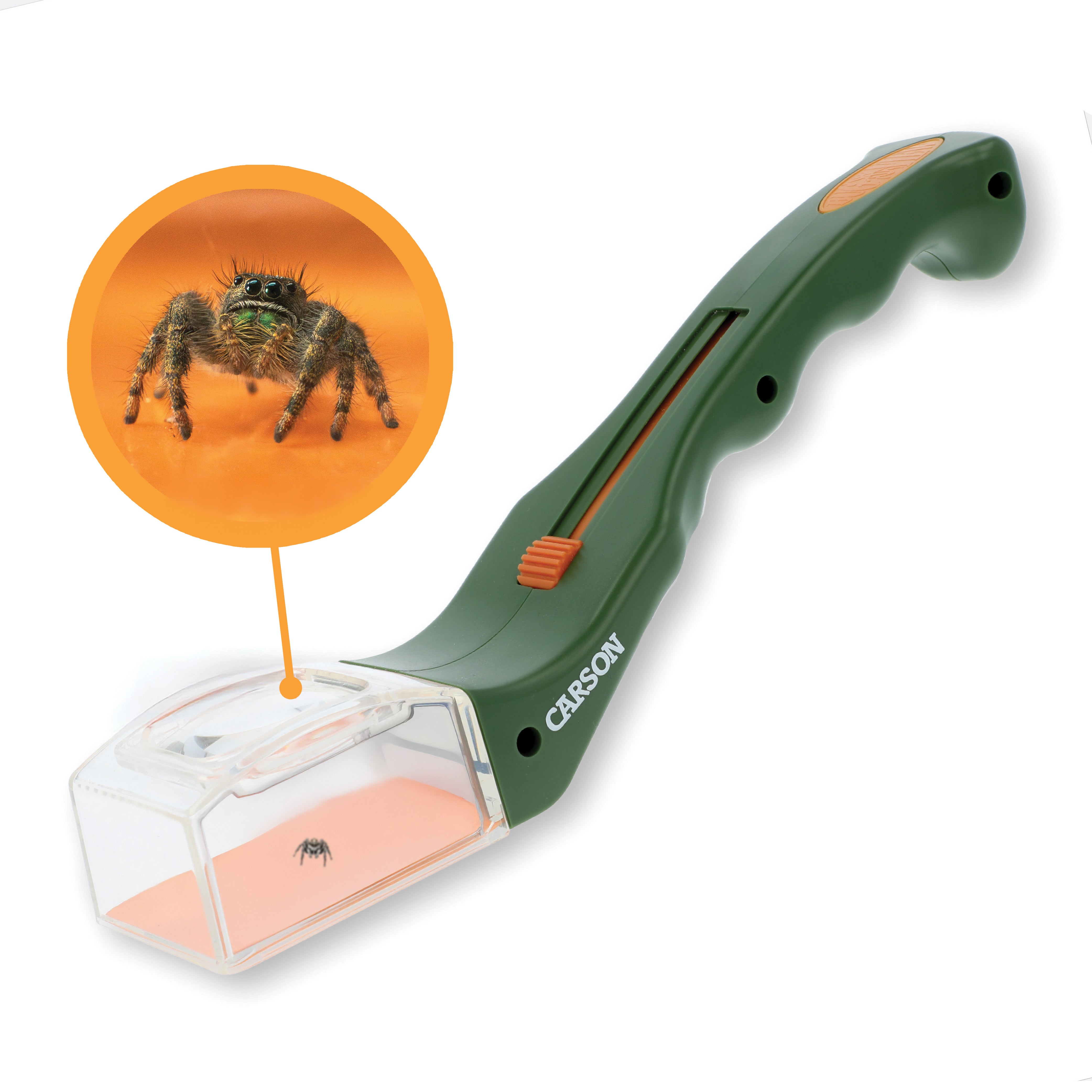BugView Bug Catcher