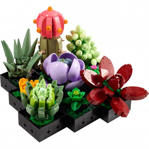 Icons Succulents Plants and Flowers Adults Set 10309