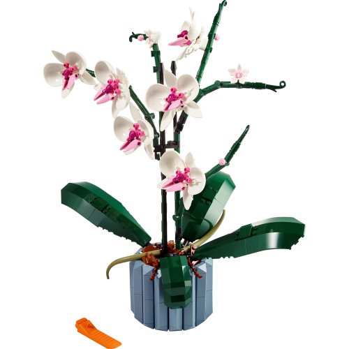 Icons Orchid Plant and Flowers Set 10311
