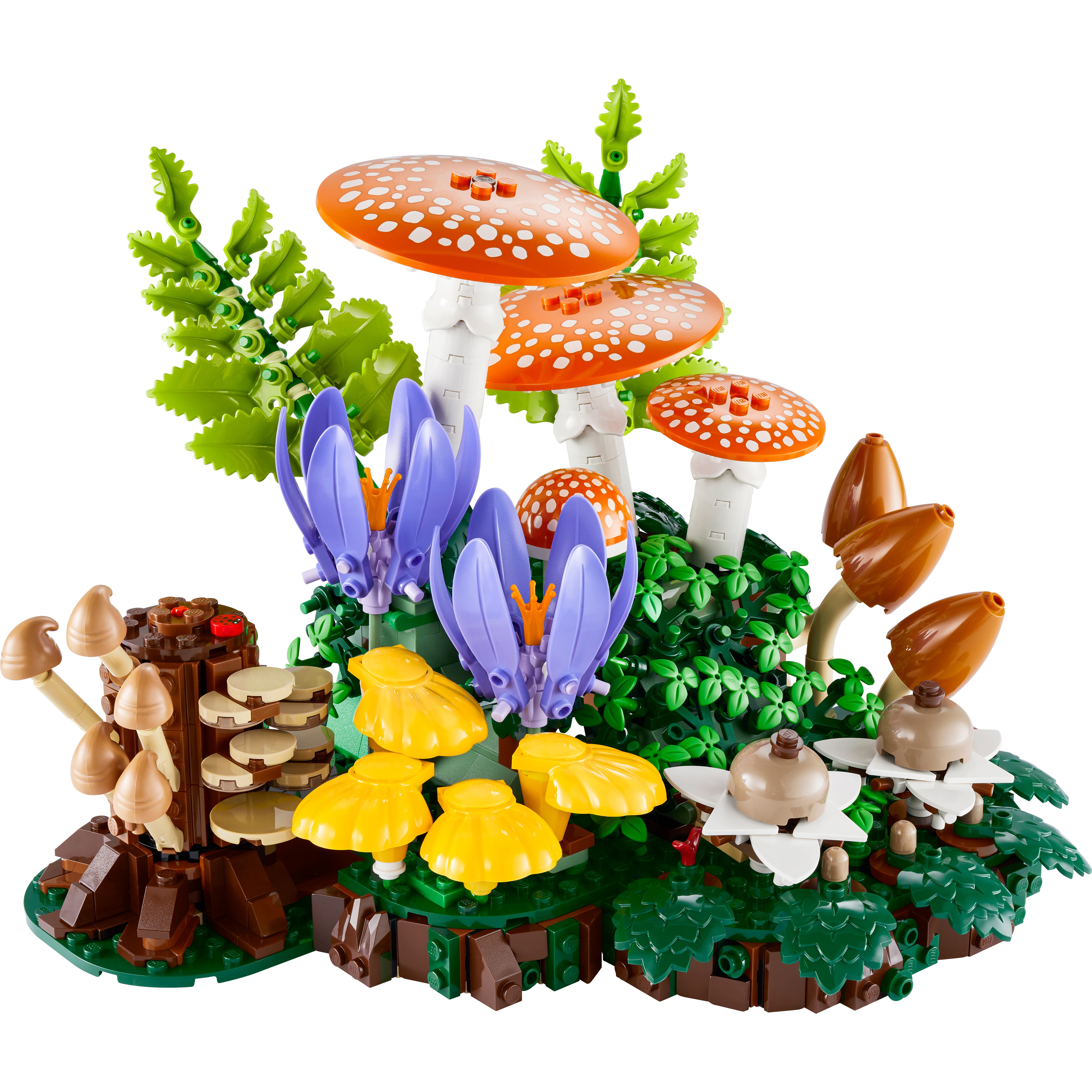 Botanicals Woodland Mushrooms Set 11505
