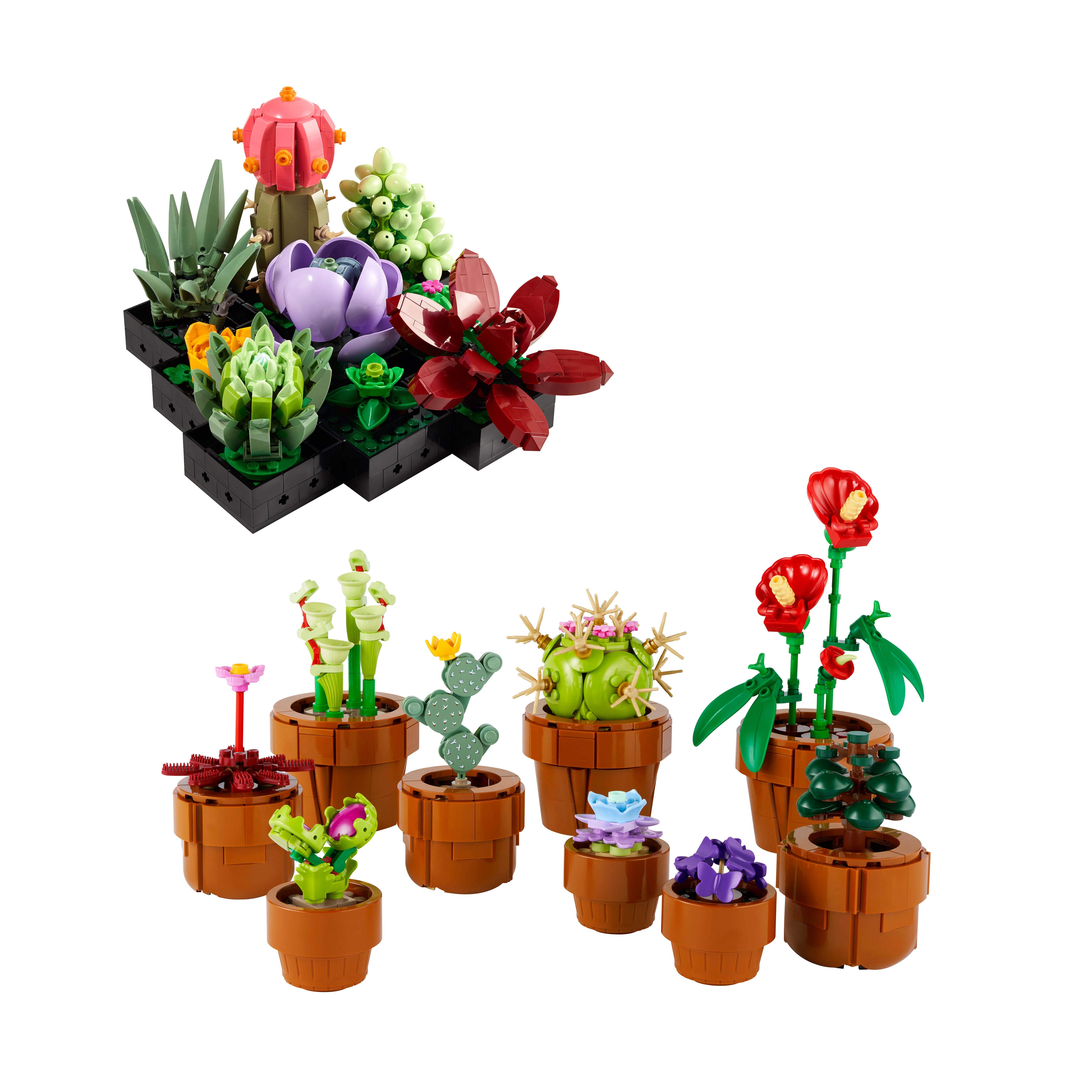 Botanicals Bundle 5
